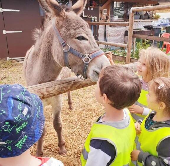 شاليه غرفة نوم واحدة, Hobby Land Ranch Horse S Barn Guesthouse