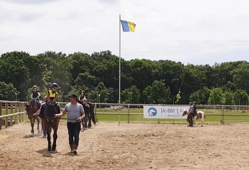 شاليه غرفة نوم واحدة, Hobby Land Ranch Horse S Barn Guesthouse