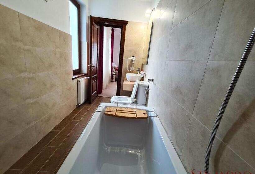 غرفة ديلوكس, Stejarro Conac Moldovenesc