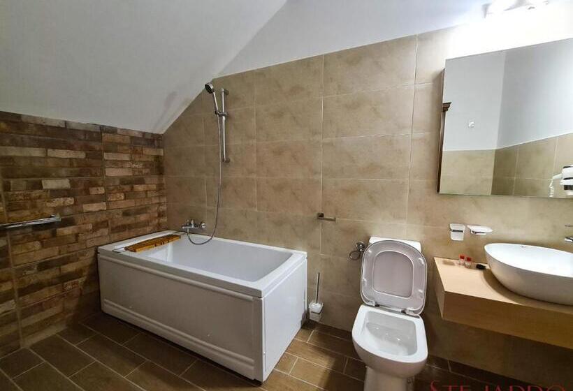 غرفة ديلوكس, Stejarro Conac Moldovenesc