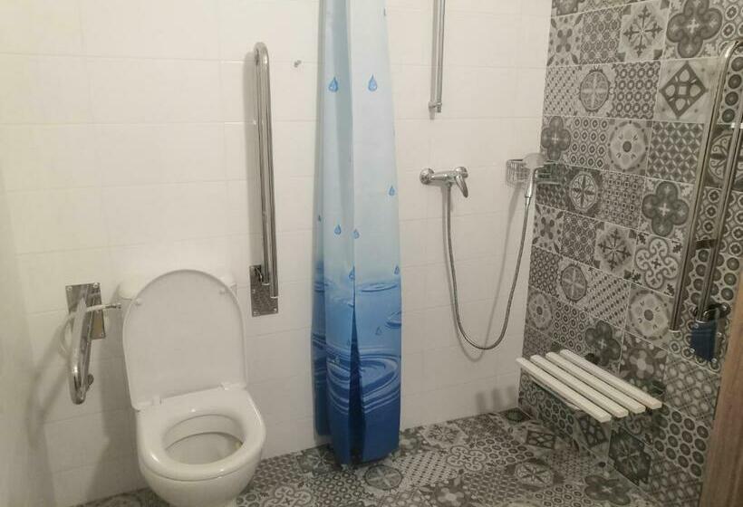 חדר סטנדרט, מיטת קינג, מותאם לאדם עם מוגבלויות, Penzion Na Farmě