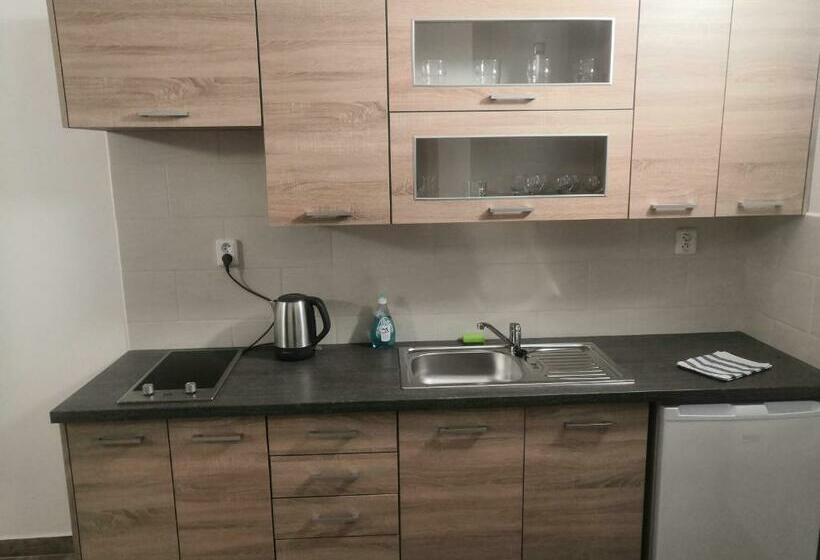 חדר סטנדרט, מיטת קינג, מותאם לאדם עם מוגבלויות, Penzion Na Farmě