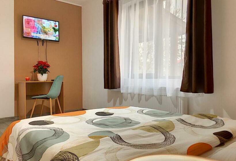 标准间, Pensiunea Bozi Timisoara