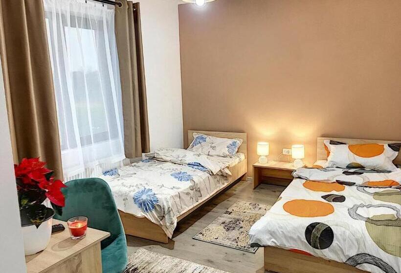 标准间, Pensiunea Bozi Timisoara