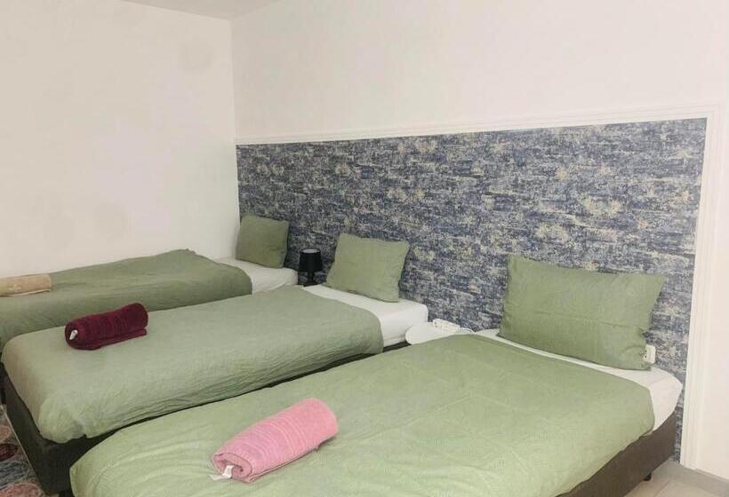 标准三人间, Pensiunea Bozi Timisoara