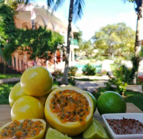 Семейный Номер Вид на Сад, Saak Luúm Ruta Puuc