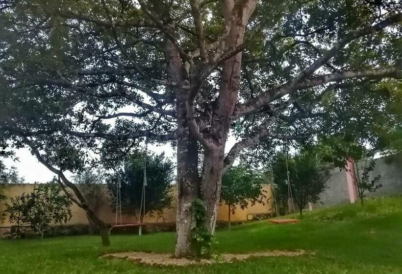 Семейный Номер Вид на Сад, Saak Luúm Ruta Puuc