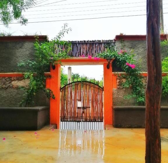 Номер Стандарт, Saak Luúm Ruta Puuc