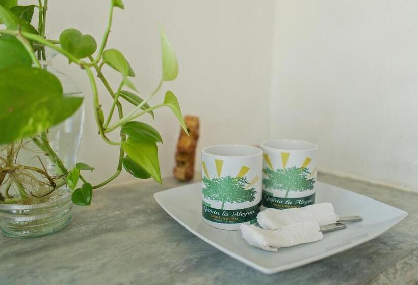 Студио Стандарт Кровать Кинг, Saak Luúm Ruta Puuc