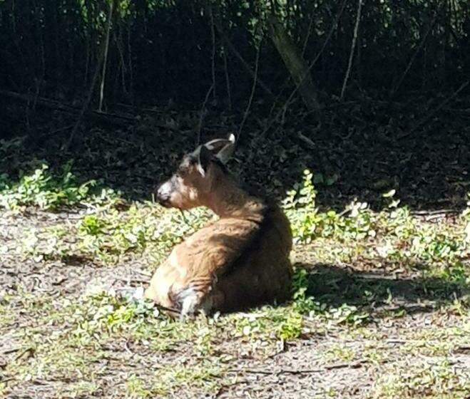 豪华房间, Chalet Du Moulin