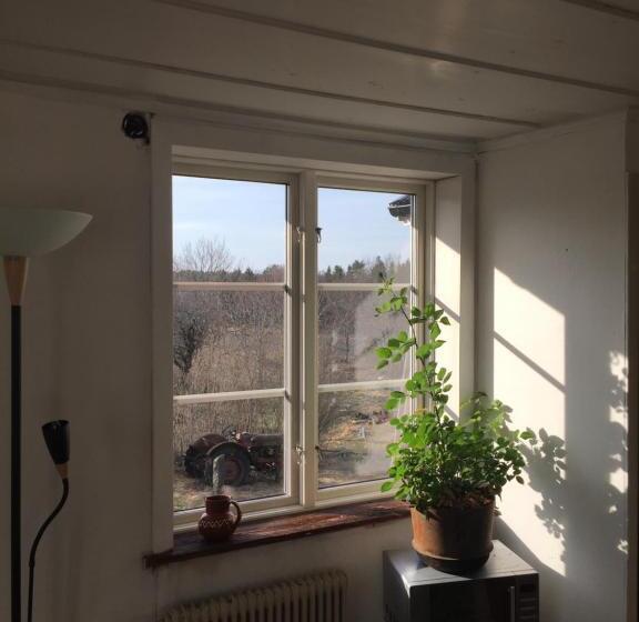 Люкс Вид на Сад, Charming House On Large Property On Vato