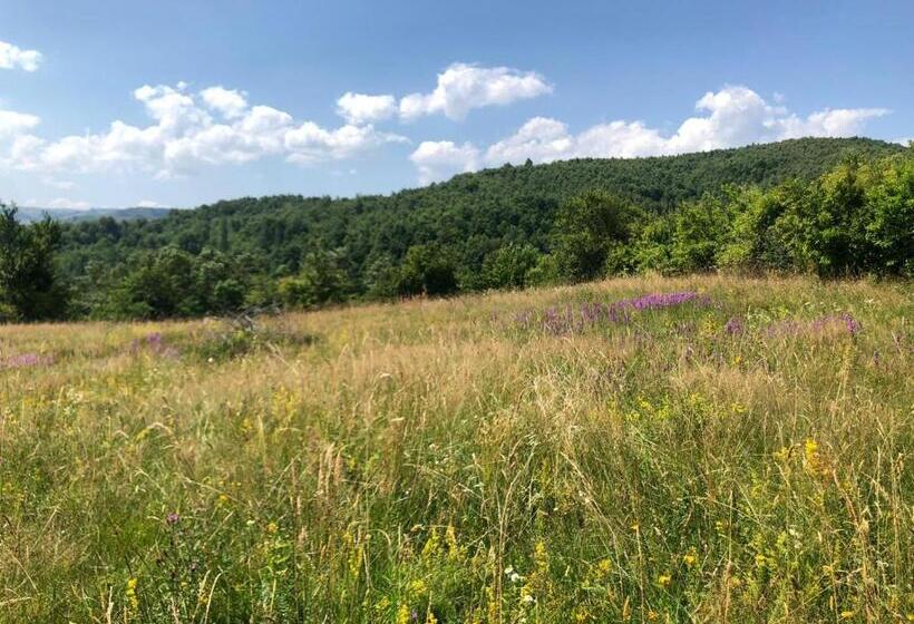 豪华房间, Pensiunea Iulia