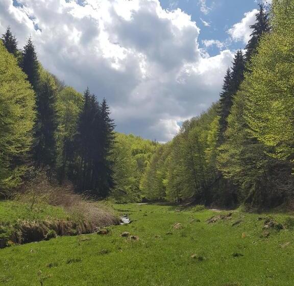 基本三人间, Pensiunea Iulia