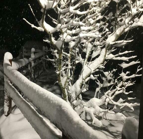 غرفة قياسية رباعية, Hôtel Restaurant La Fourmi