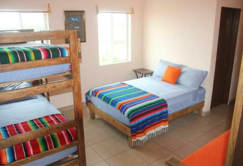 패밀리 룸 가든 전망, Mision Surf