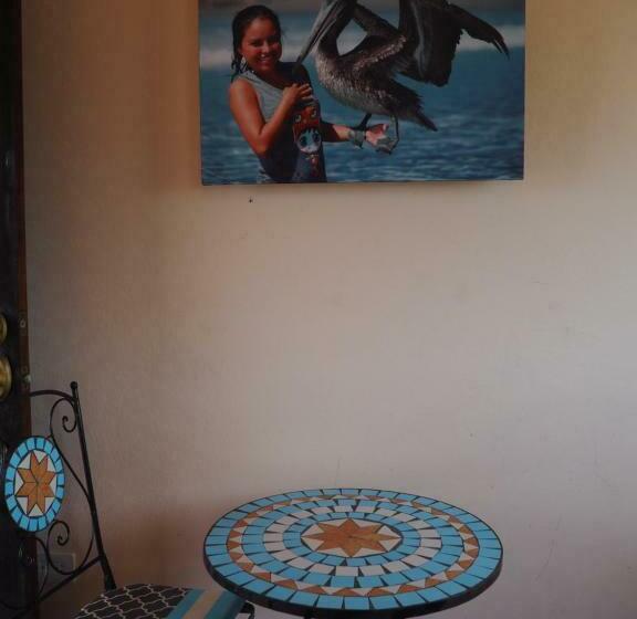 标准房带园景, Mision Surf