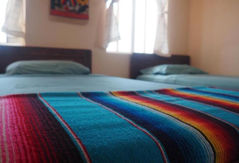 클래식 4인 룸, Mision Surf