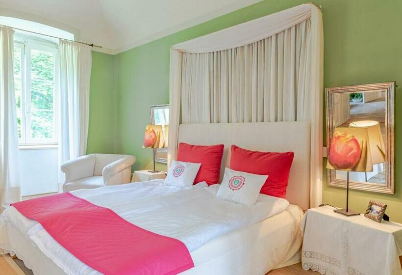 Номер Superior Кровать Кинг, Svastics Kúria