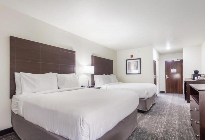 스탠다드 룸, Cobblestone Inn & Suites  Fremont