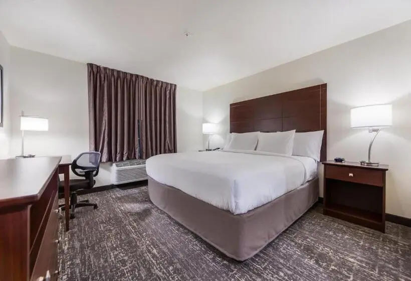 キングサイズベッドのスタンダードルーム, Cobblestone Inn & Suites  Fremont