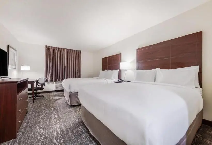 身障者適用スタンダードルーム, Cobblestone Inn & Suites  Fremont