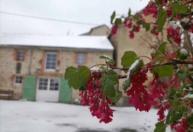 חדר סטנדרט, La Grenouille Amoureuse