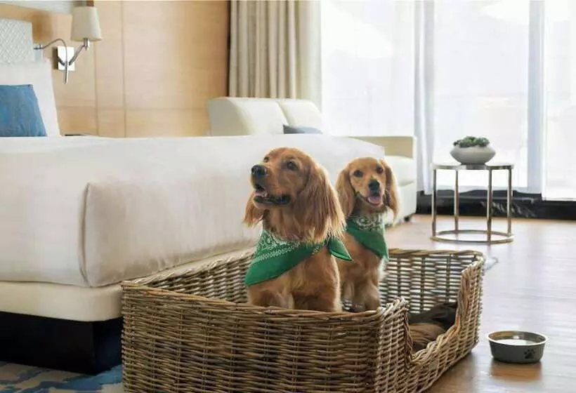 اتاق استاندارد با تخت بزرگ, Marriott Resort Palm Jumeirah, Dubai