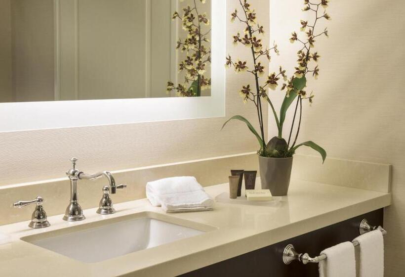 إستوديو قياسى سرير كينج, Ayres Hotel Orange