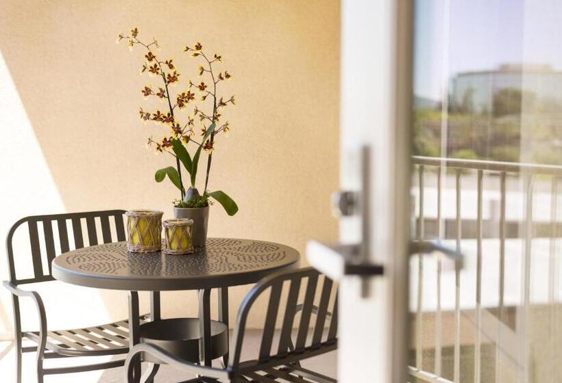 إستوديو قياسى مزودة بتراس, Ayres Hotel Orange