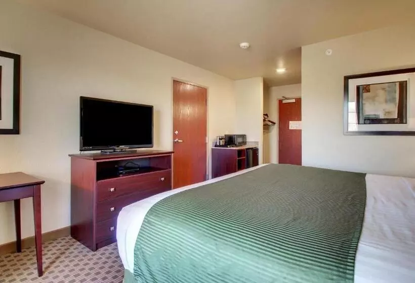 キングサイズベッドのスタンダードルーム, Cobblestone Hotel & Suites   Salem