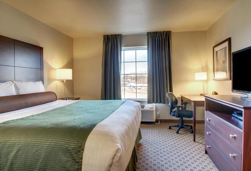 带大床的标准间, Cobblestone Hotel & Suites   Salem
