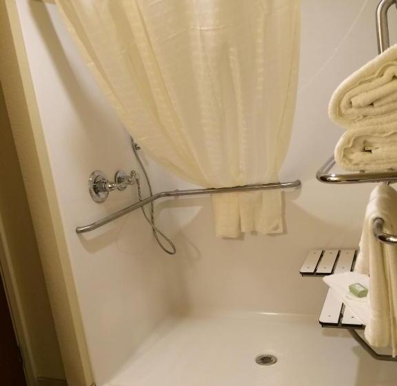 غرفة قياسية سرير كينج لذوى الإحتياجات الخاصة, Cobblestone Hotel & Suites   Salem