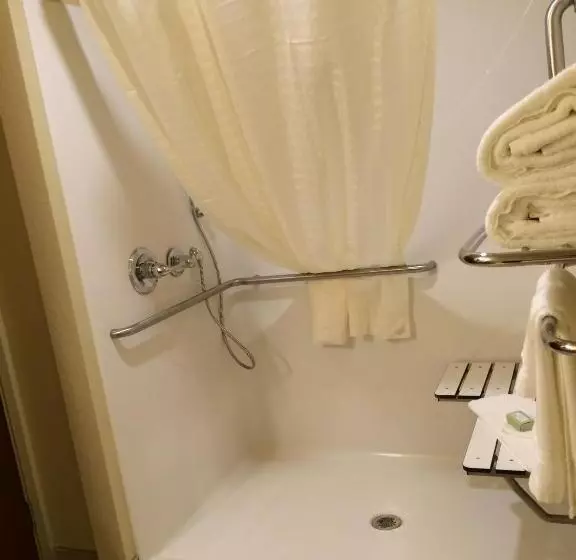 身障者適用キングサイズベッドルーム, Cobblestone Hotel & Suites   Salem
