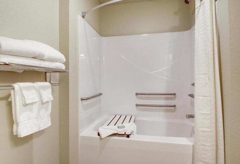 غرفة قياسية سرير كينج لذوى الإحتياجات الخاصة, Cobblestone Hotel & Suites   Salem