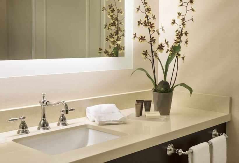Студио Стандарт Кровать Кинг, Ayres Hotel Orange