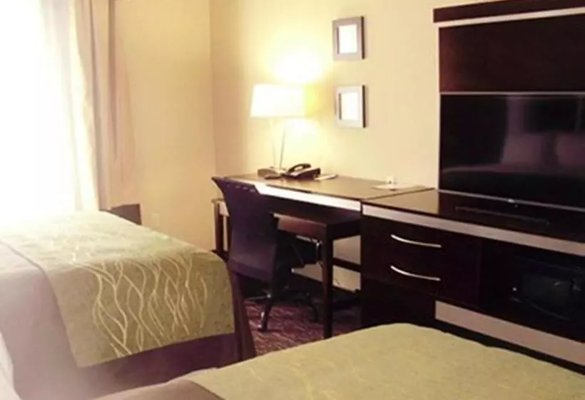 キングサイズベッドのスタンダードルーム, Comfort Inn & Suites Dothan East