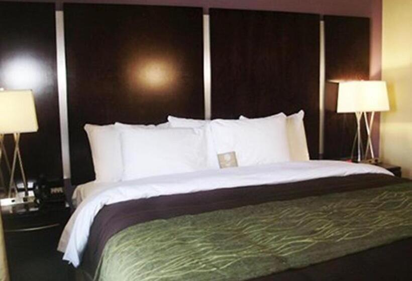 غرفة قياسية سرير كينج, Comfort Inn & Suites Dothan East