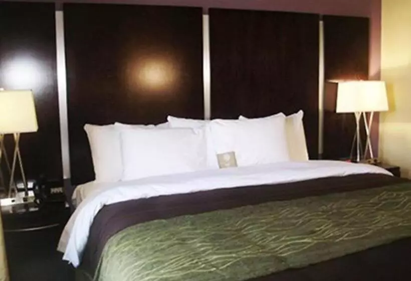 キングサイズベッドのスタンダードルーム, Comfort Inn & Suites Dothan East