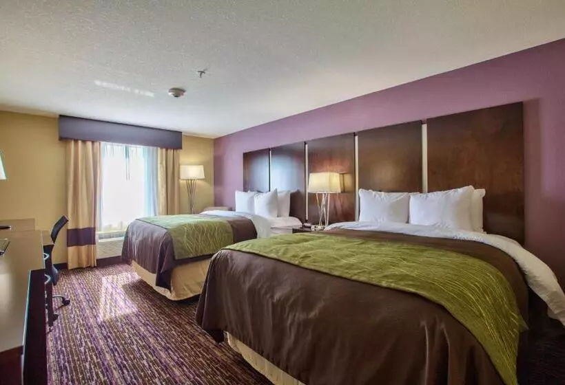 スタンダードルーム, Comfort Inn & Suites Dothan East