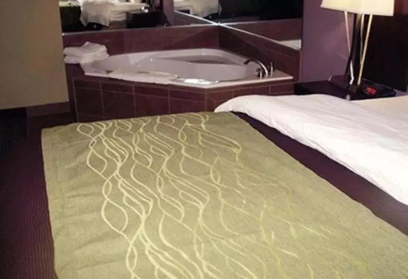 デラックススイート, Comfort Inn & Suites Dothan East