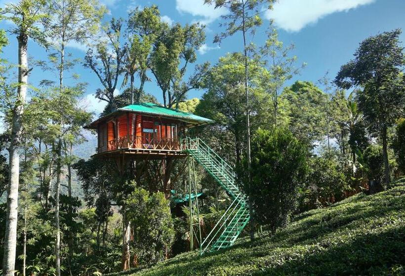 1 Szobás Ház, Dream Catcher Plantation Resort