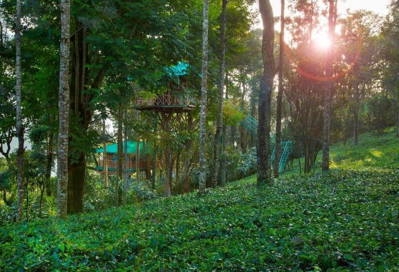 1 Szobás Ház, Dream Catcher Plantation Resort