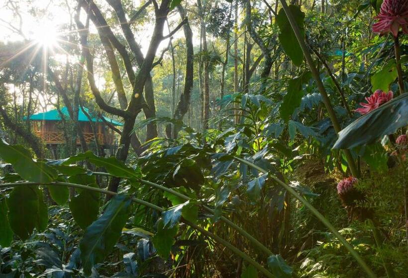 1 Szobás Ház, Dream Catcher Plantation Resort