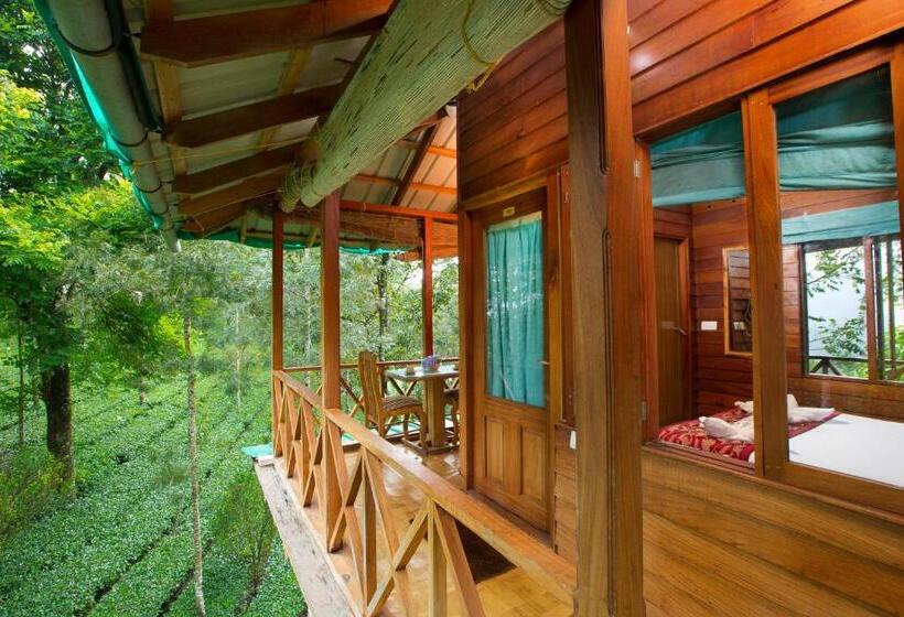 1 Szobás Ház, Dream Catcher Plantation Resort