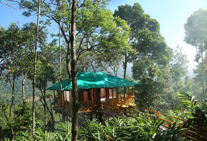 1 Szobás Ház, Dream Catcher Plantation Resort