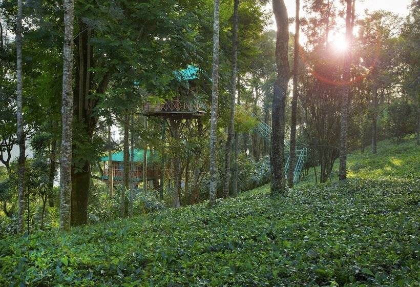 1 Szobás Ház, Dream Catcher Plantation Resort