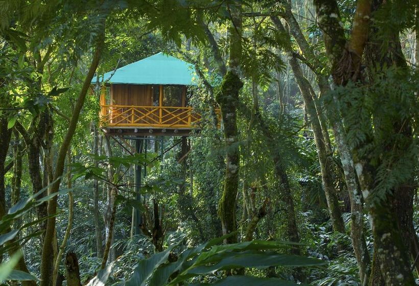 1 Szobás Ház, Dream Catcher Plantation Resort