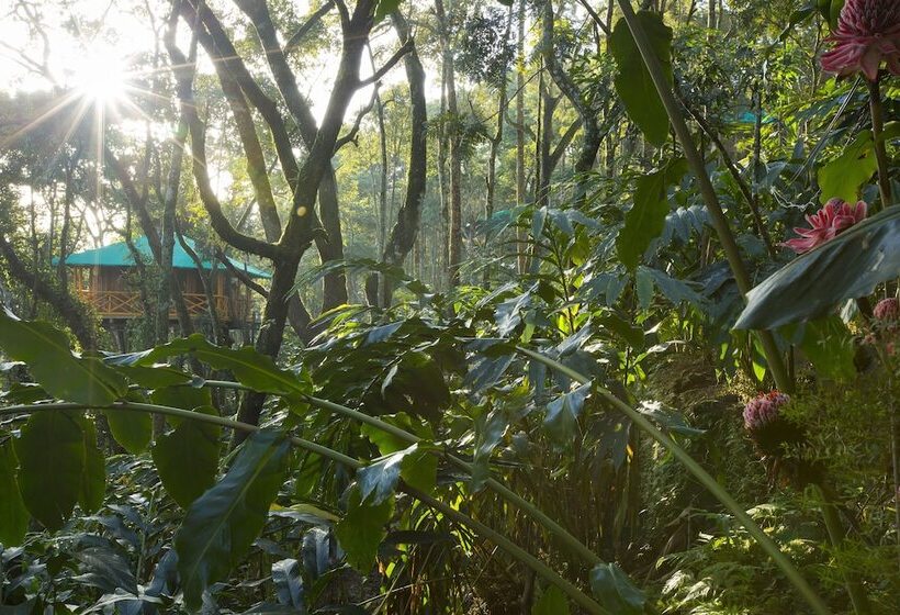 1 Szobás Ház, Dream Catcher Plantation Resort