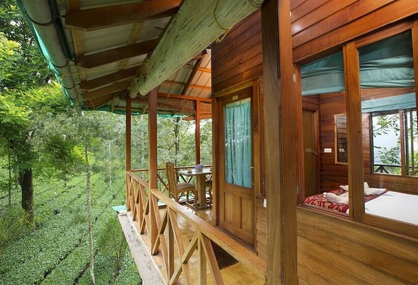 1 Szobás Ház, Dream Catcher Plantation Resort