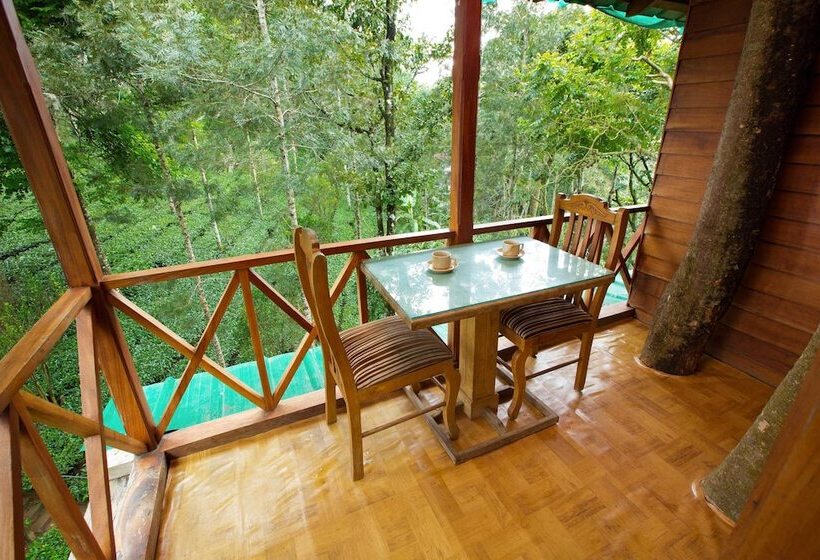 1 Szobás Ház, Dream Catcher Plantation Resort